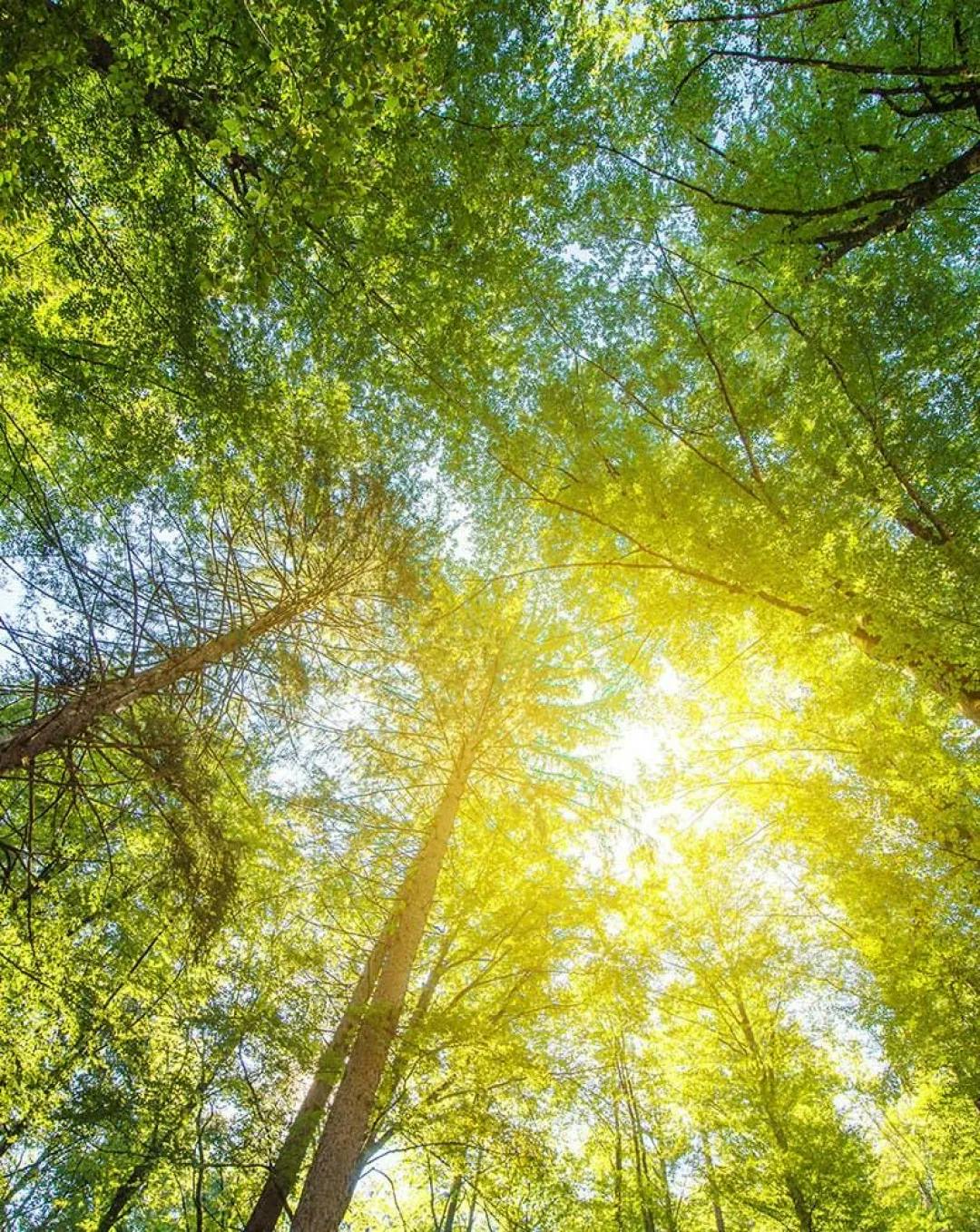 Abl environmental policy